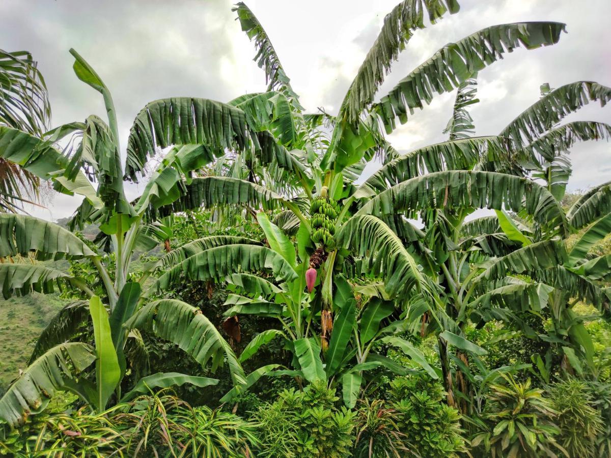 Finca Cuipo Буритака Екстериор снимка